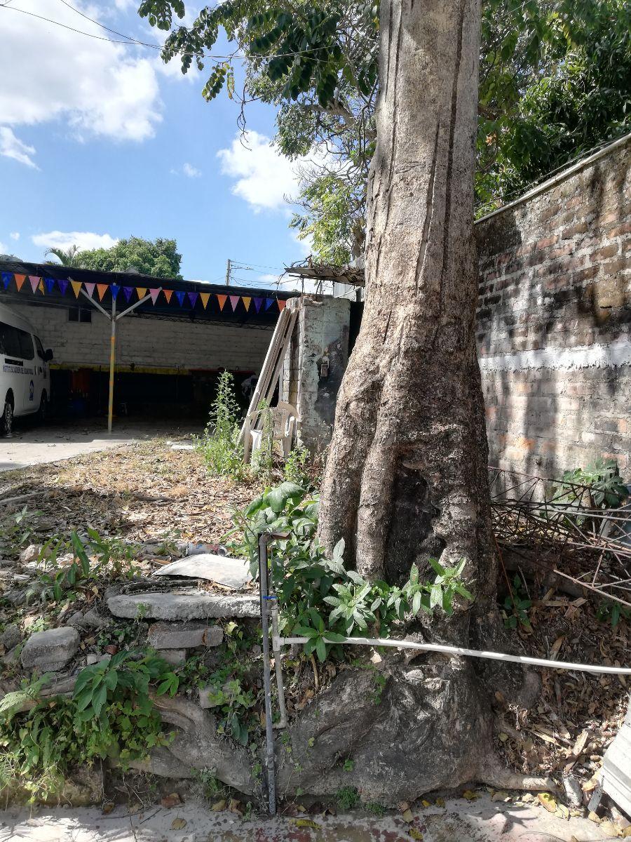 Foto Terreno en Alquiler en Urbana, San Salvador, San Salvador - U$D 550 - TEA465 - BienesOnLine