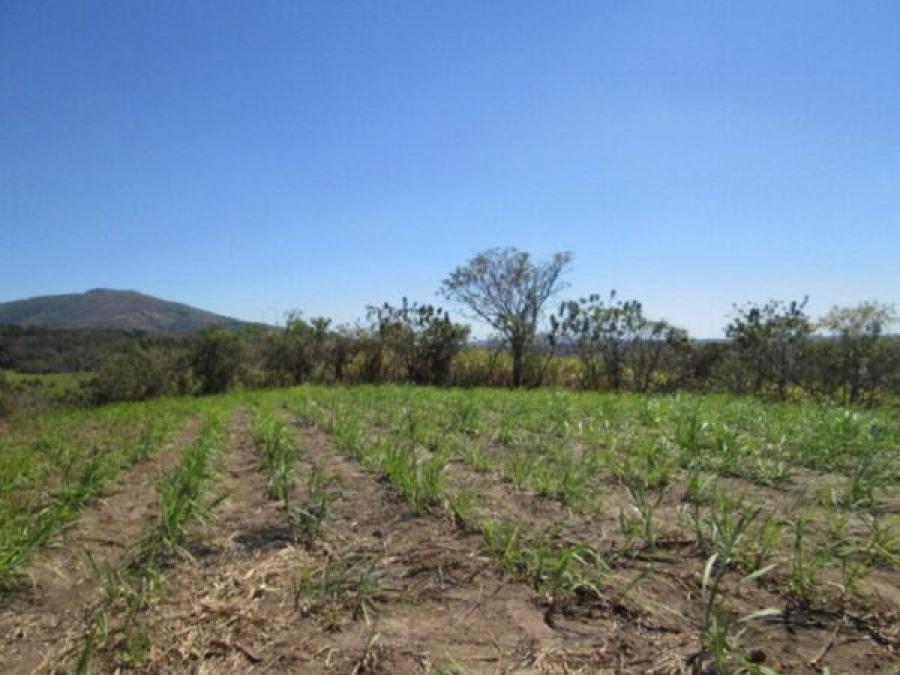 Foto Finca en Venta en San José Guayabal, Cuscatlán - U$D 1.600.000 - FIV457 - BienesOnLine