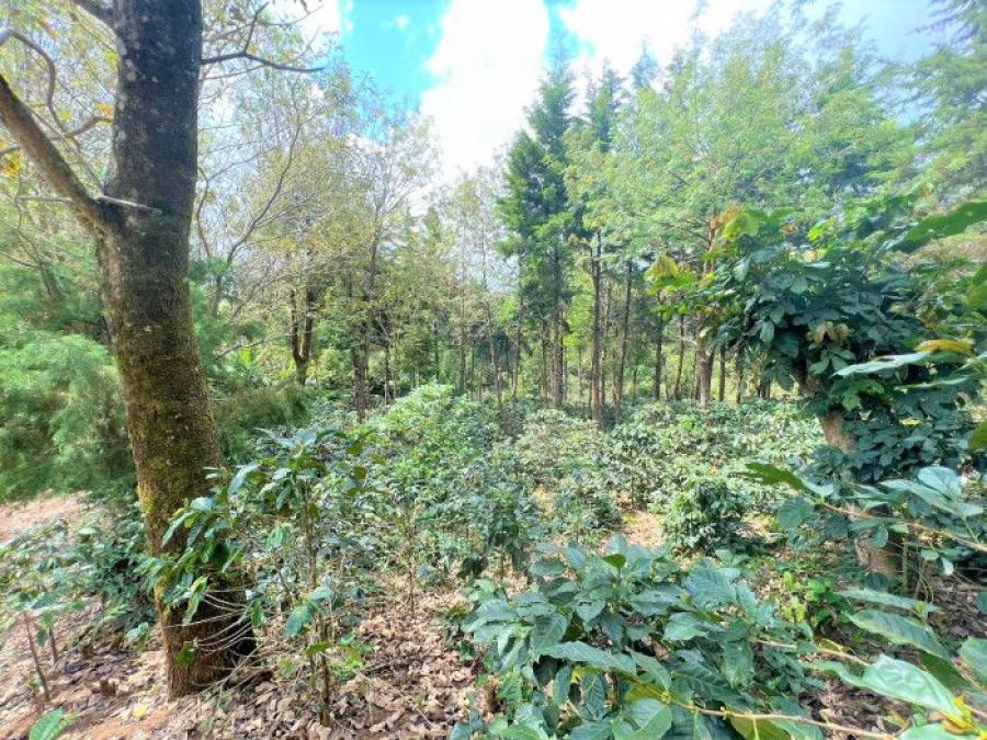 Foto Terreno en Venta en Ahuachapán, Ahuachapán - U$D 100.000 - TEV536 - BienesOnLine