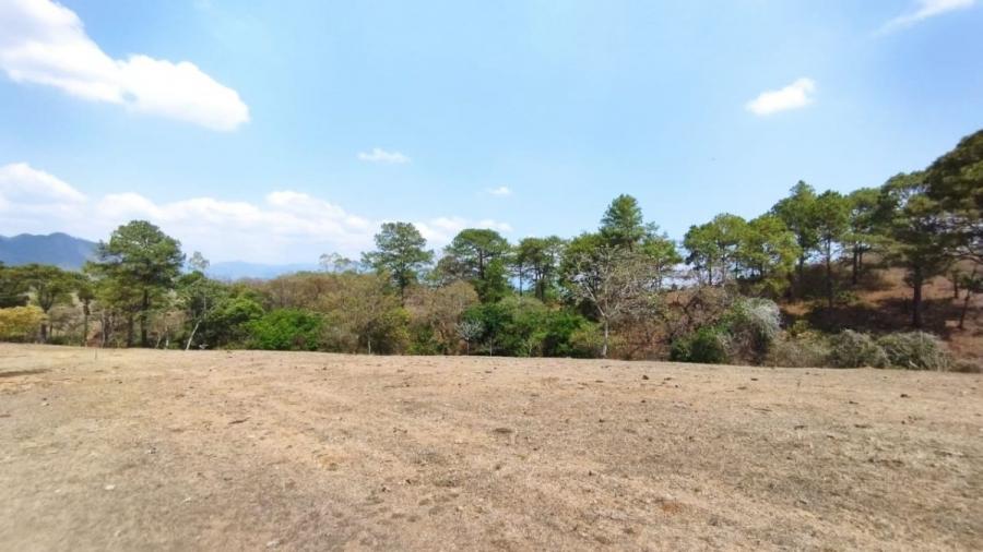 Foto Terreno en Venta en San Ignacio, Chalatenango - U$D 1.600.000 - TEV543 - BienesOnLine