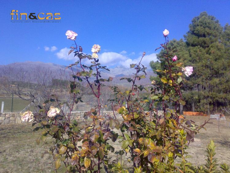 Foto Finca en Venta en Robledillo, Candeleda, Avila - € 295.000 - FIV1789 - BienesOnLine