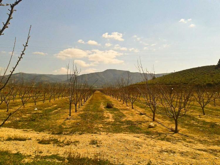 Foto Solar en Venta en casablanca, Abarn, Murcia - 6 hectareas - € 160.000 - SOV6076 - BienesOnLine