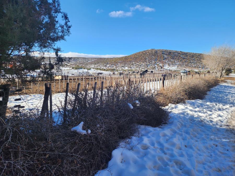 Finca en Venta en Marbella