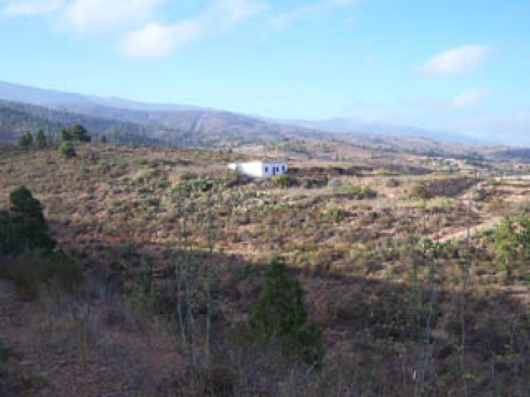 Foto Finca en Venta en Granadilla de Abona, Tenerife - € 252.000 - FIV1053 - BienesOnLine