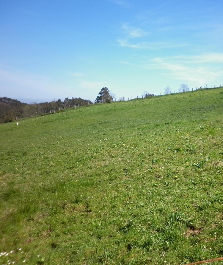 Foto Finca en Venta en Candamo, Asturias - € 27.000 - FIV4332 - BienesOnLine