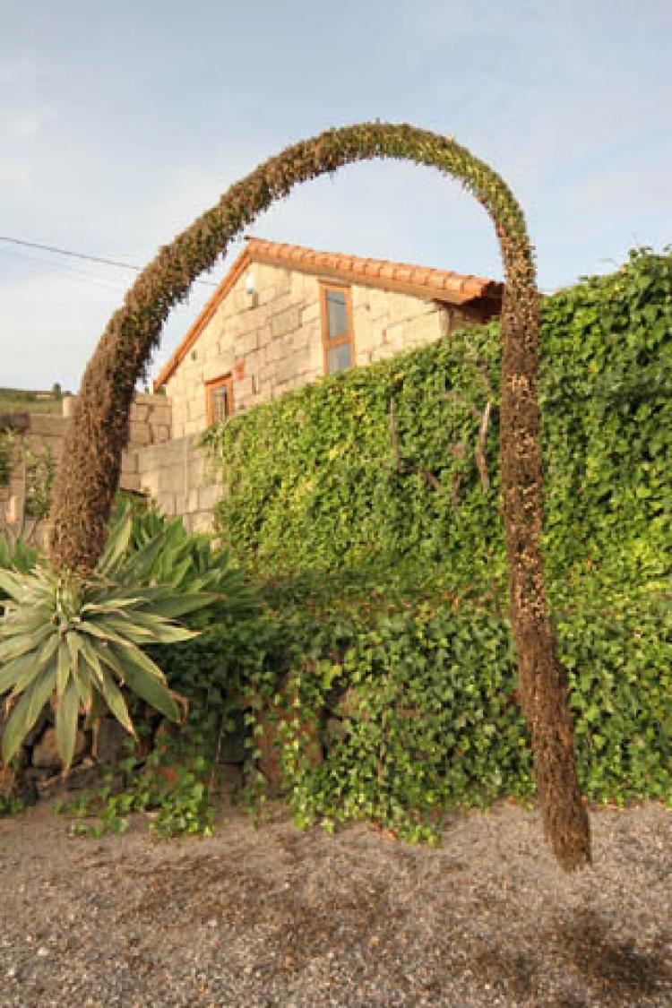 Foto Villa en Venta en ARONA, Arona, Tenerife - € 1.280.000 - VIV1369 - BienesOnLine