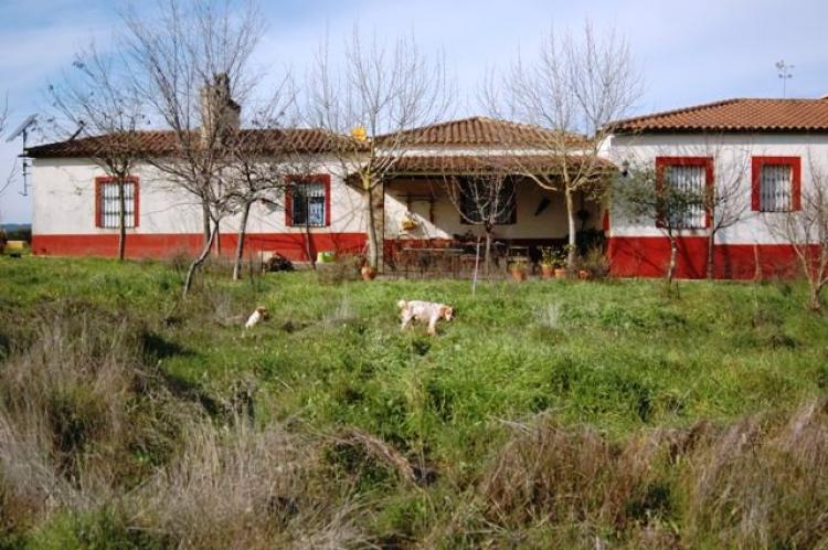 Foto Finca en Venta en Ctra. EX 108, La Codosera, Badajoz - € 571.500 - FIV4255 - BienesOnLine