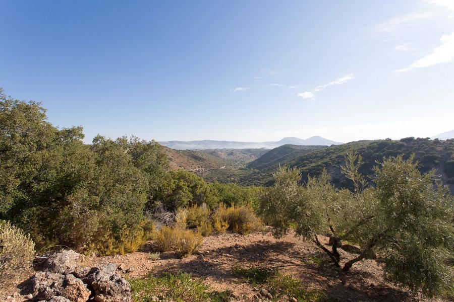 Foto Finca en Venta en La Dehesa, Loja, Granada - 3 hectareas - € 85.000 - FIV12401 - BienesOnLine