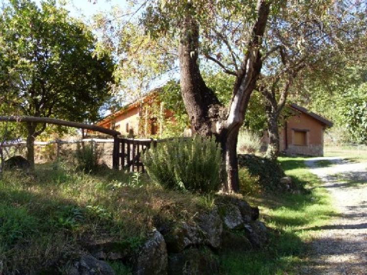Foto Casa en Venta en Madrigal de la Vera, Caceres - € 1.000.000 - CAV4797 - BienesOnLine