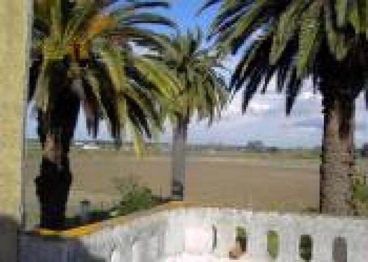 Foto Finca en Venta en Badajoz, Badajoz - € 1.500.000 - FIV3616 - BienesOnLine