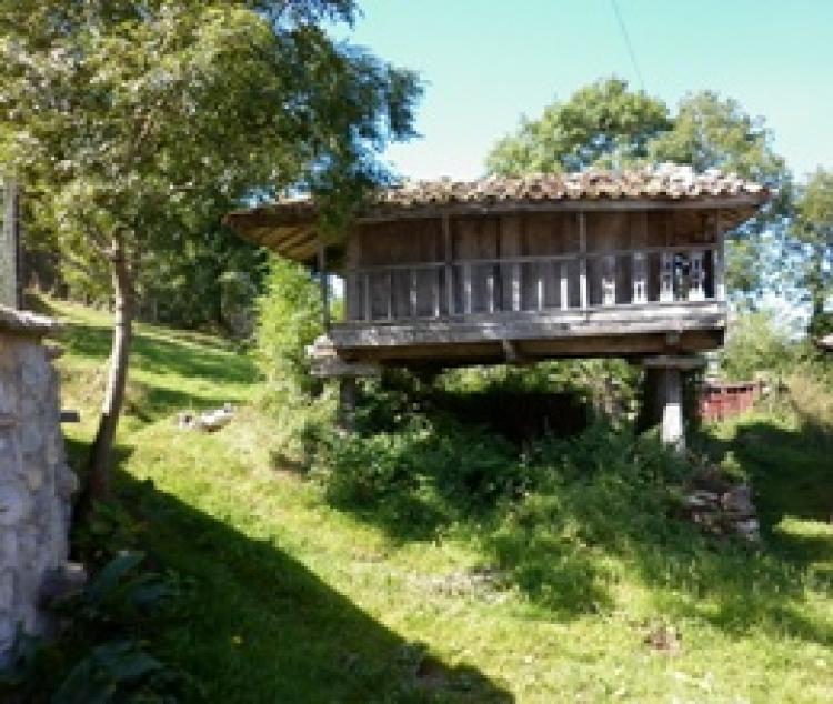 Foto Finca en Venta en Candamo, Asturias - € 57.000 - FIV4315 - BienesOnLine