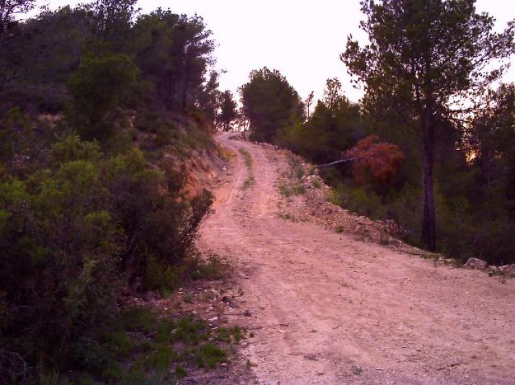 Foto Finca en Venta en KM 2, , Lleida - 9 hectareas - € 48.500 - FIV2086 - BienesOnLine