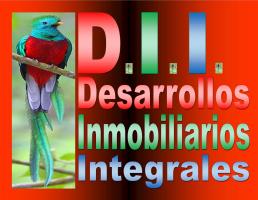 Desarrollos Inmobiliarios Integrales