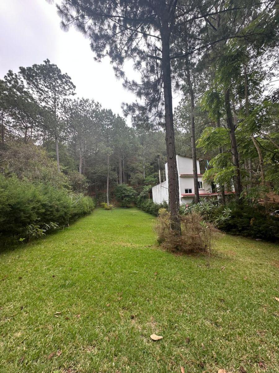 Home in Metric Way