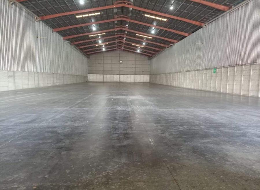 Foto Bodega en Renta en Puerto San José, Escuintla - U$D 9.375 - BOR49202 - BienesOnLine