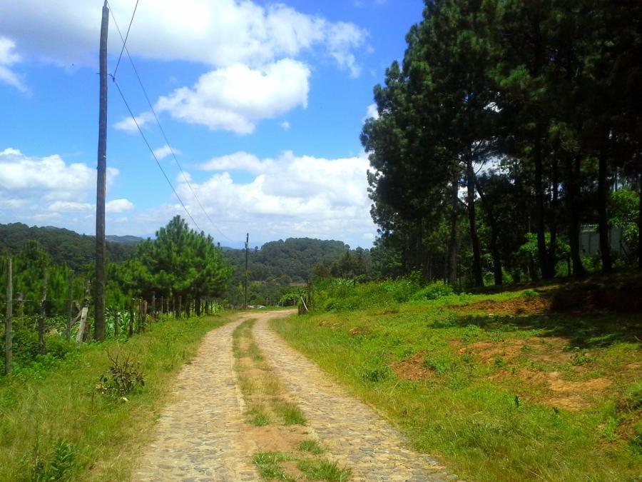 Home in Metric Way