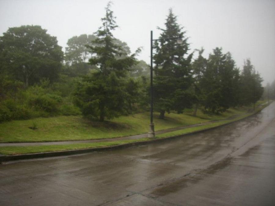Home in Metric Way