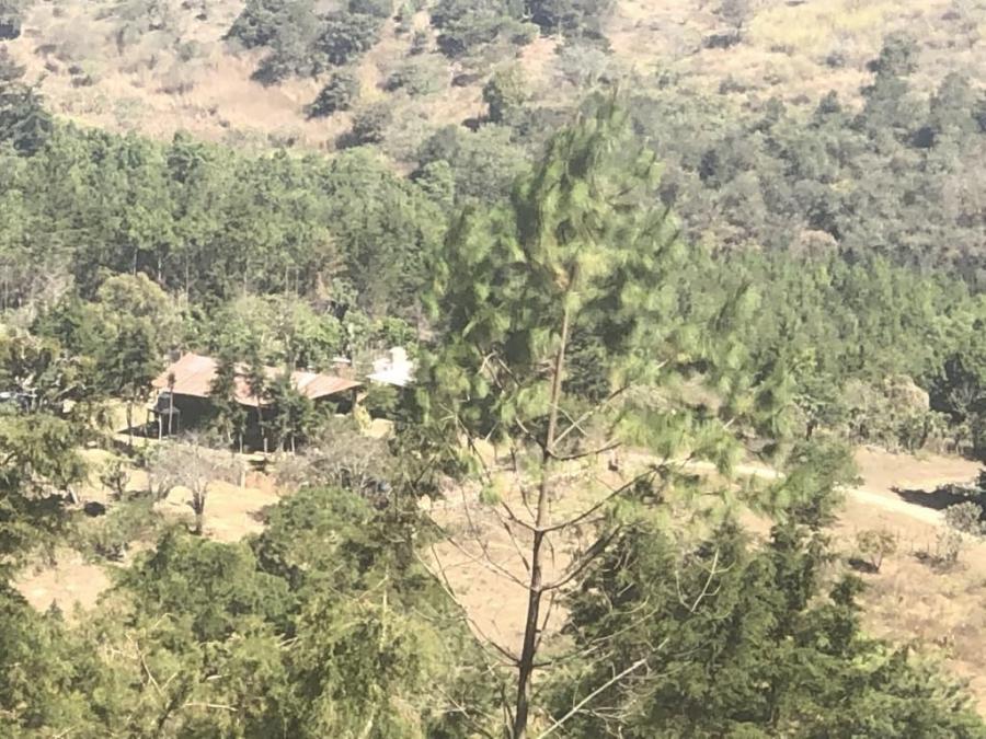 Foto Terreno en Venta en Sajcavillá, Sajcavillá, Guatemala - 75 hectareas - U$D 1.490.000 - TEV10058 - BienesOnLine