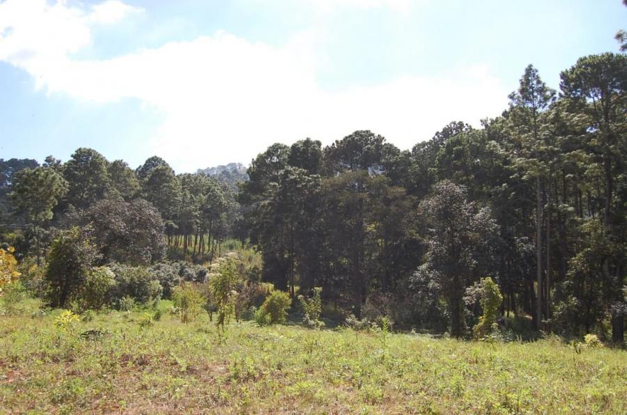 Foto Finca en Venta en Sumpango, Sumpango, Sacatepquez - U$D 550.000 - FIV13609 - BienesOnLine