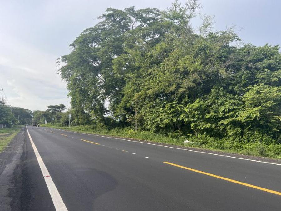 Foto Terreno en Venta en Masagua, Masagua, Escuintla - Q 950.000 - TEV48646 - BienesOnLine