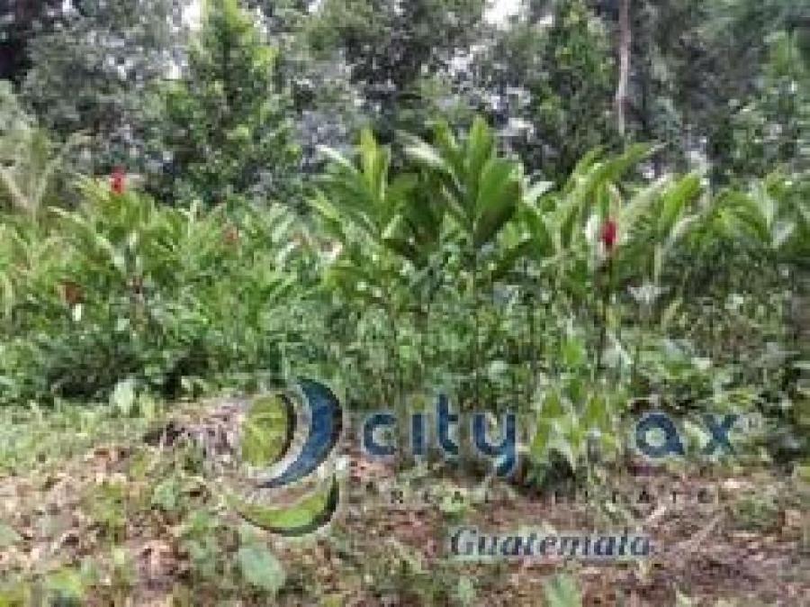 Foto Finca en Venta en San Antonio Suchitepequez, Suchitepéquez - Q 13.425.300 - FIV33133 - BienesOnLine