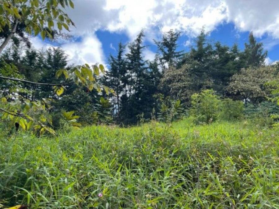 Foto Terreno en Venta en Santo Domingo Xenacoj, Santo Domingo Xenacoj, Sacatepéquez - Q 300.000 - TEV48587 - BienesOnLine