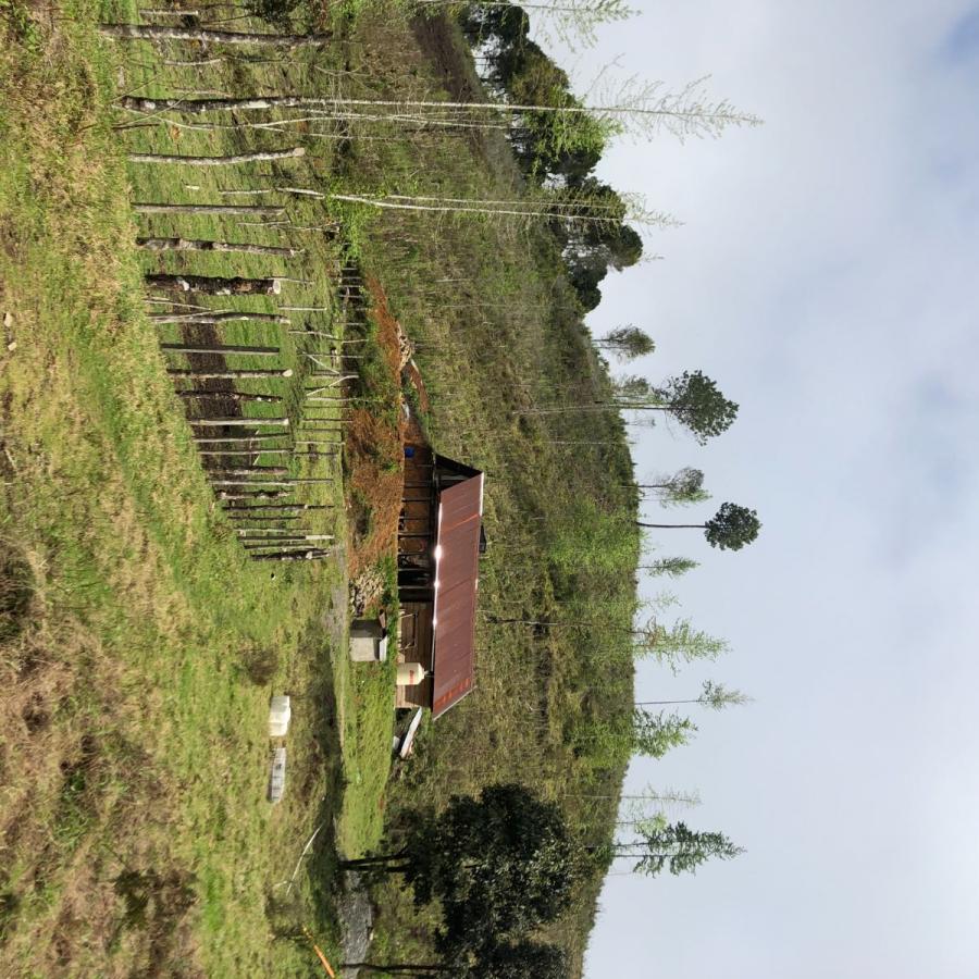 Foto Finca en Venta en San Pedro Carch, Alta Verapaz - 35 hectareas - Q 2.500.000 - FIV7084 - BienesOnLine