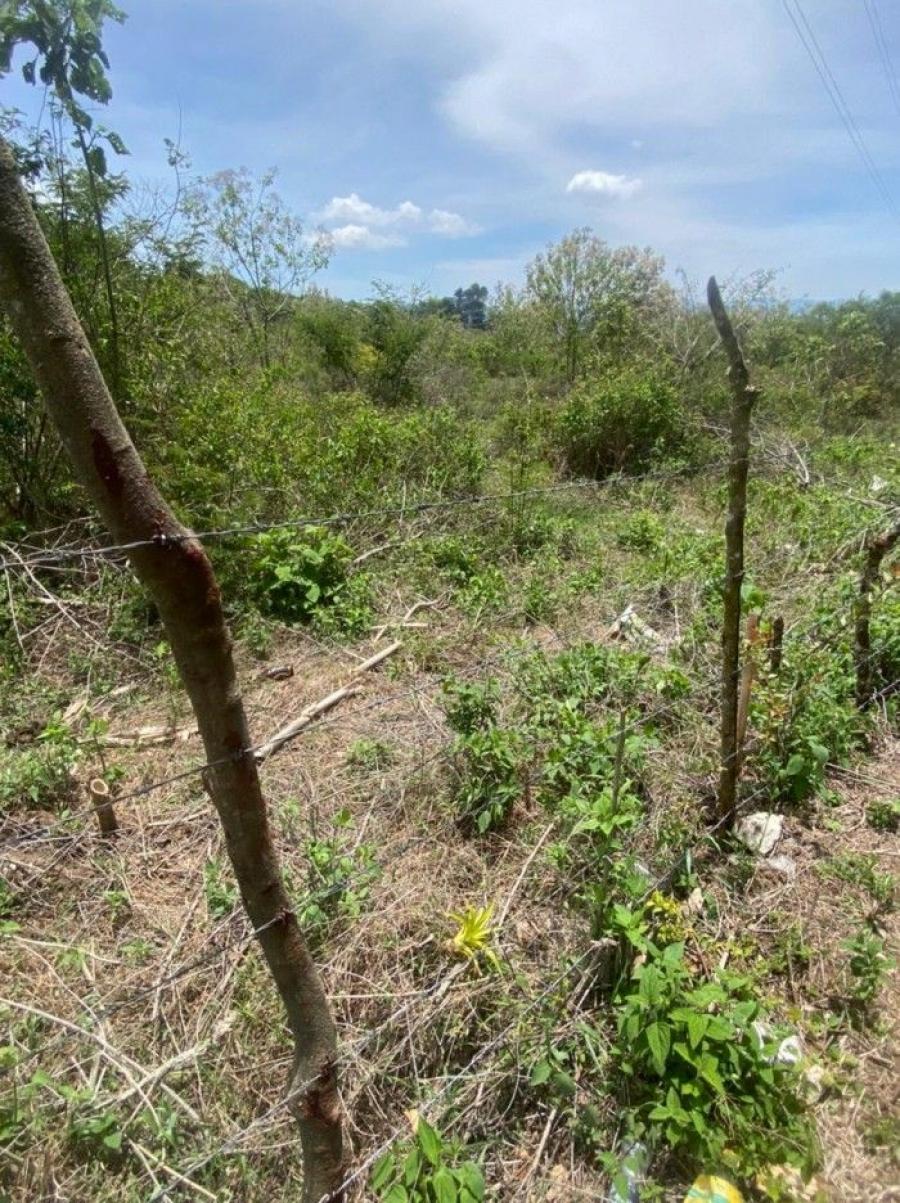 Foto Finca en Venta en Km 16 - km 30, Guatemala - U$D 1.702.311 - FIV32144 - BienesOnLine