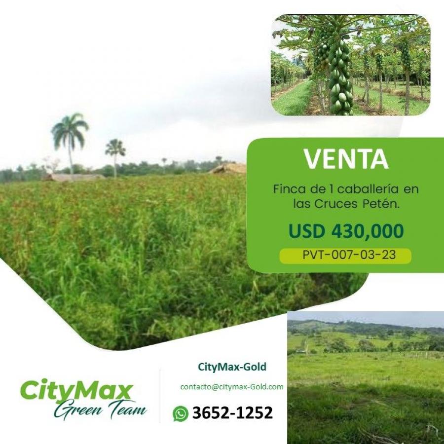 Foto Finca en Venta en San Luis, Petén - U$D 430.000 - FIV23270 - BienesOnLine