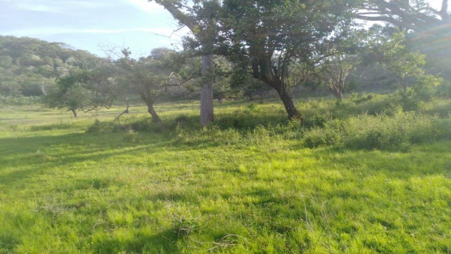 Foto Finca en Venta en Jalpatagua, Jutiapa - Q 4.500.000 - FIV18522 - BienesOnLine