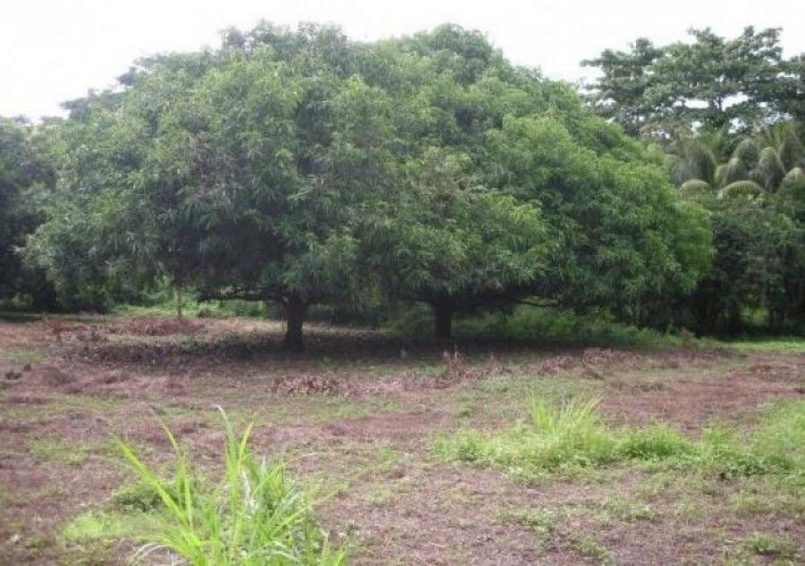 Foto Finca en Venta en Escuintla, Escuintla - Q 64.000.000 - FIV33283 - BienesOnLine