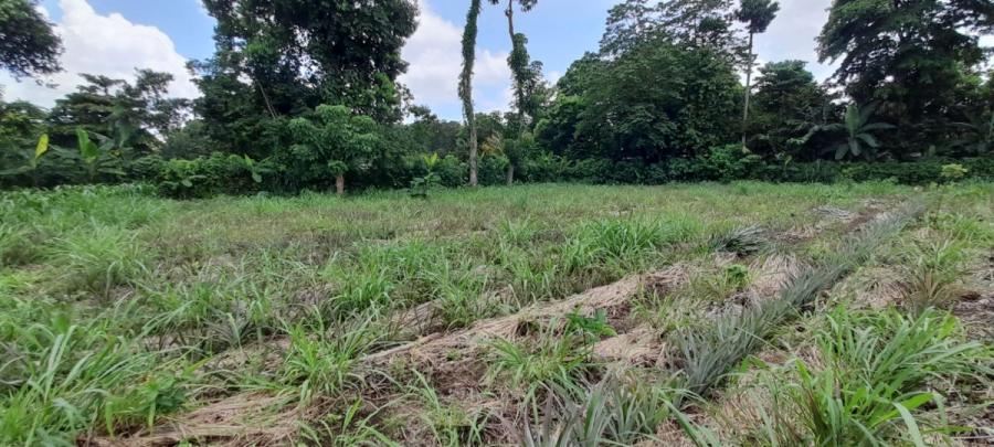 Foto Finca en Venta en Mazatenango, Suchitepéquez - Q 10.000.000 - FIV17314 - BienesOnLine