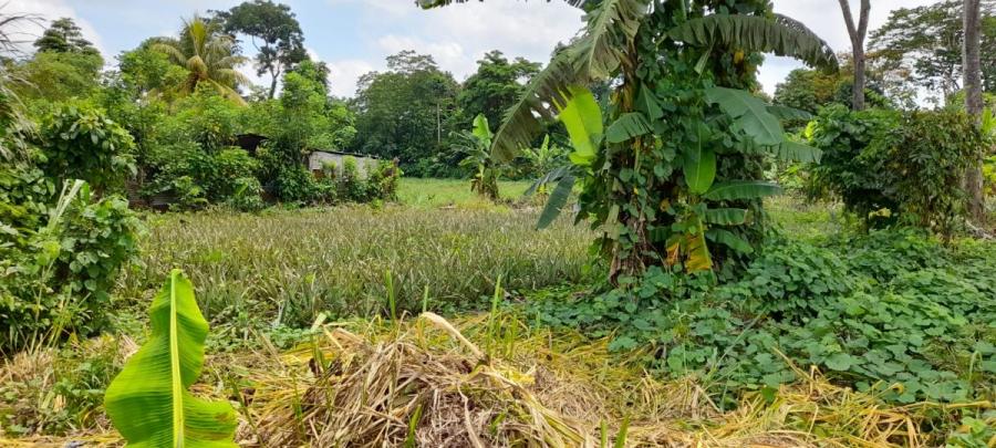 Foto Finca en Venta en Mazatenango, Suchitepéquez - Q 8.000.000 - FIV18219 - BienesOnLine