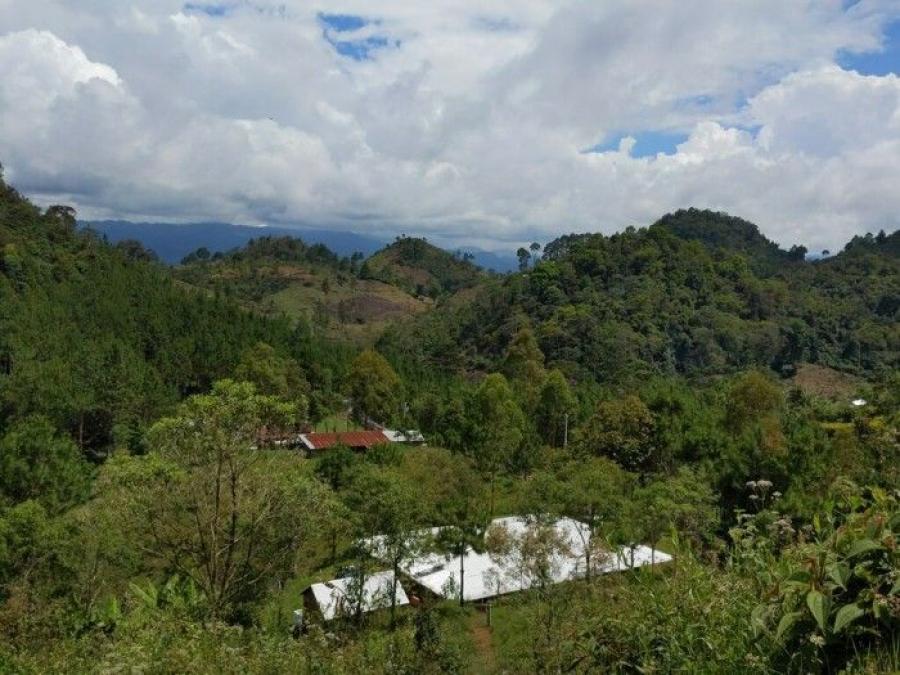 Foto Finca en Venta en Coban, Alta Verapaz - Q 980.000 - FIV37995 - BienesOnLine