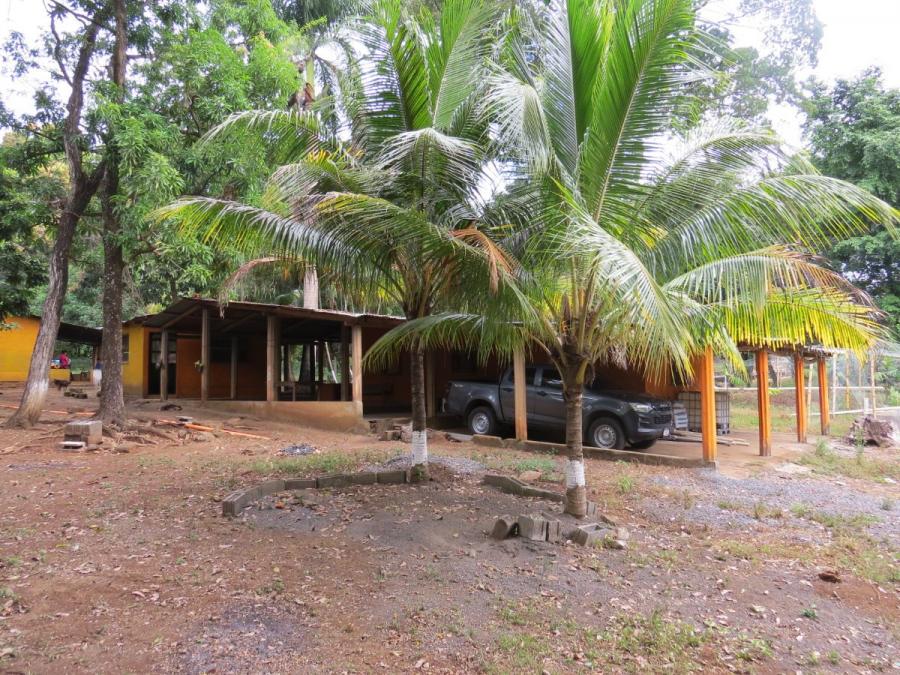 Foto Finca en Venta en Taxisco, Santa Rosa - 6 hectareas - $ 1.950.000 - FIV43680 - BienesOnLine
