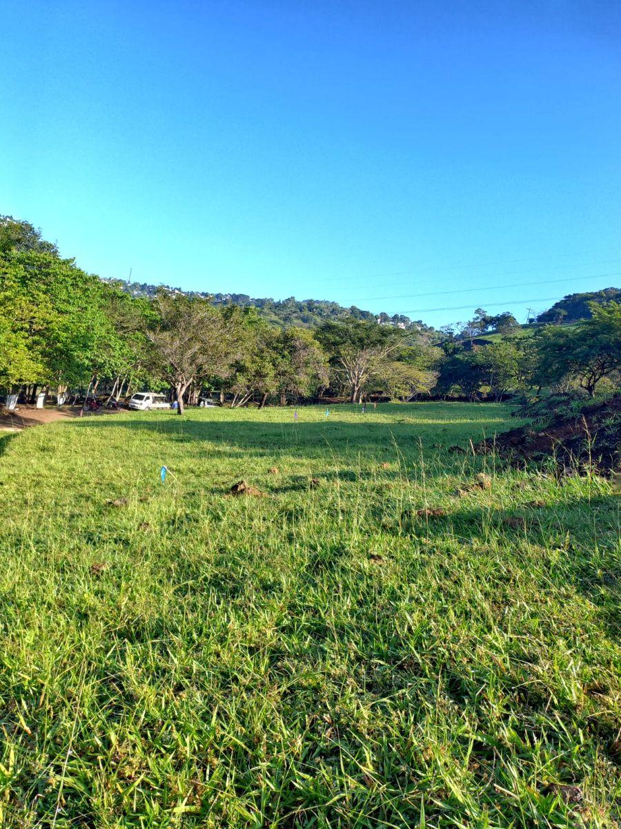 Foto Terreno en Venta en KM 65 Carretera al Salvador, Cuilapa Santa Rosa, Santa Rosa - Q 95.000 - TEV34558 - BienesOnLine