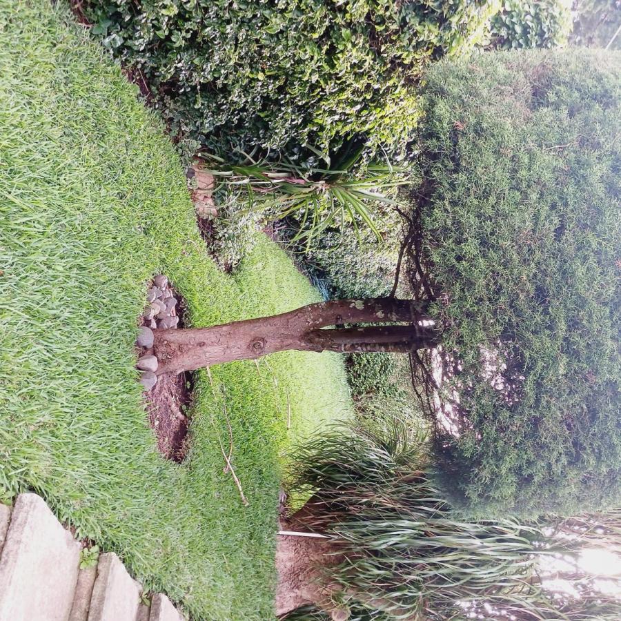 Home in Metric Way
