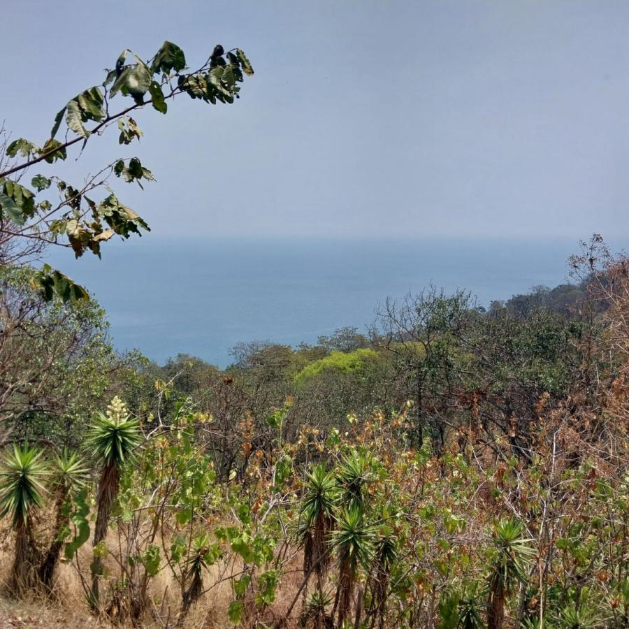 Foto Terreno en Venta en Camino a la finca, San Pedro La Laguna, Sololá - Q 85.000 - TEV41322 - BienesOnLine