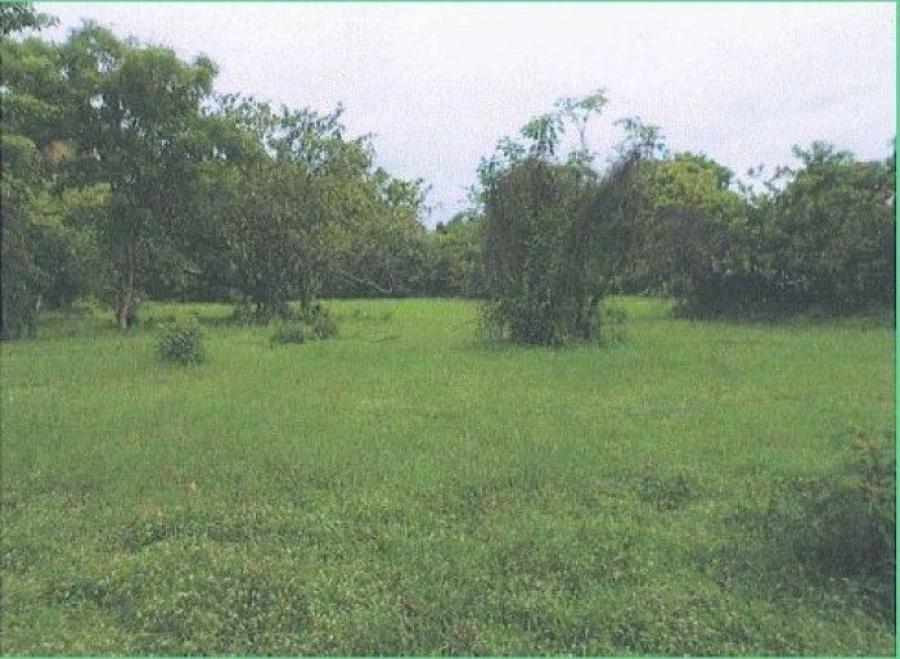 Foto Terreno en Renta en Masagua, Escuintla - U$D 1.950 - TER32942 - BienesOnLine