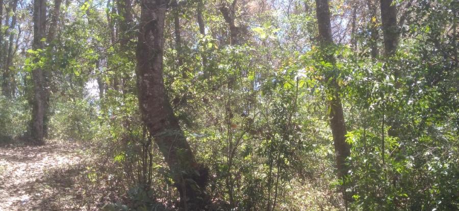Foto Terreno en Venta en San Lucas Sacatepéquez, Sacatepéquez - U$D 500.000 - TEV27095 - BienesOnLine