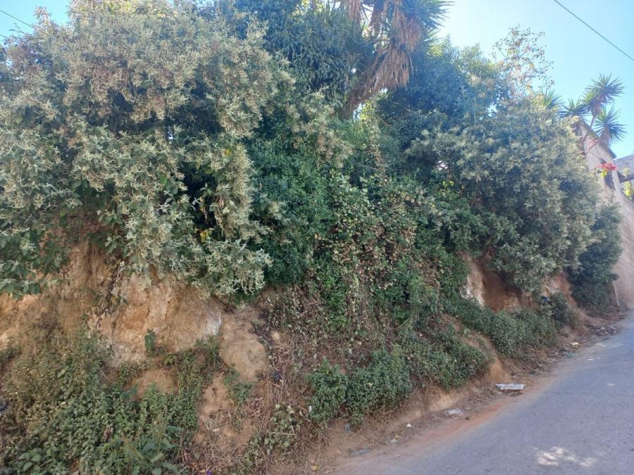 Foto Terreno en Renta en San Juan Sacatepéquez, Guatemala - Q 4.500 - TER31895 - BienesOnLine