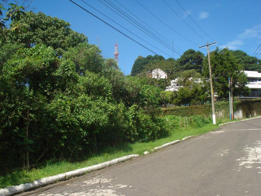 Home in Metric Way