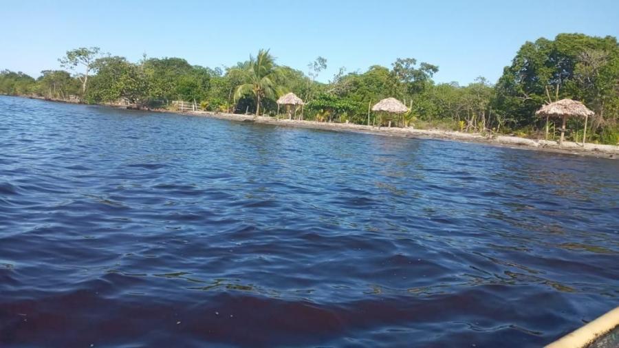 Foto Terreno en Venta en Puerto Barrios, Izabal - 2 hectareas - $ 350.000 - TEV26349 - BienesOnLine