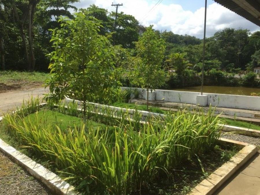 Foto Terreno en Venta en Puerto Barrios, Izabal - Q 8.500.000 - TEV32008 - BienesOnLine