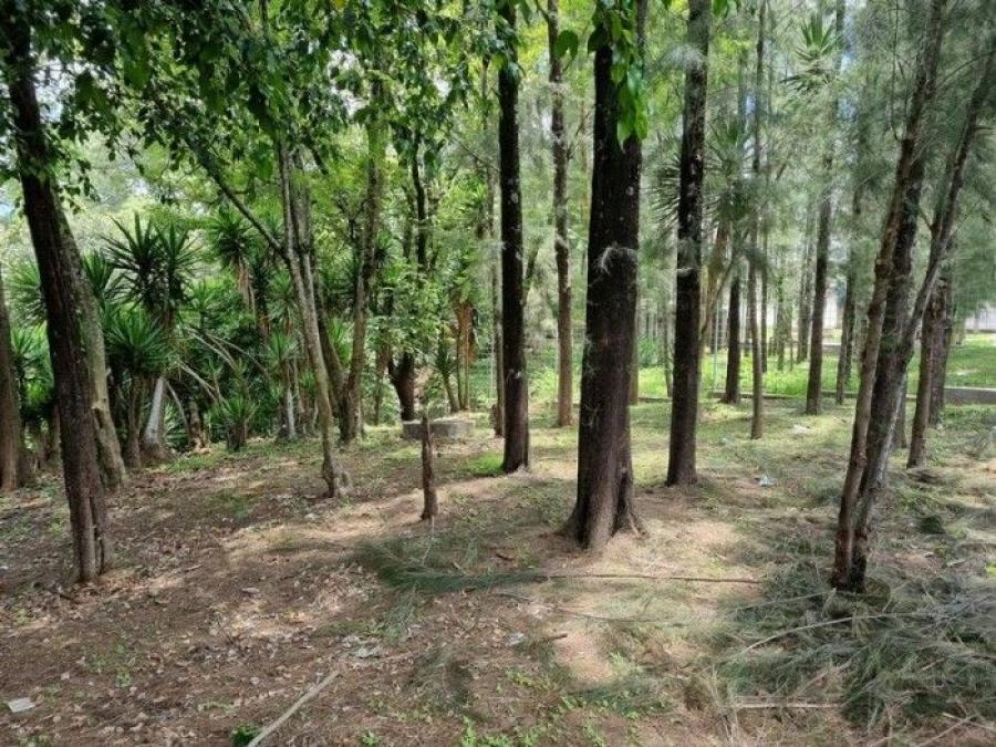 Foto Terreno en Renta en San Cristóbal, Mixco, Guatemala - Q 5.000 - TER44148 - BienesOnLine