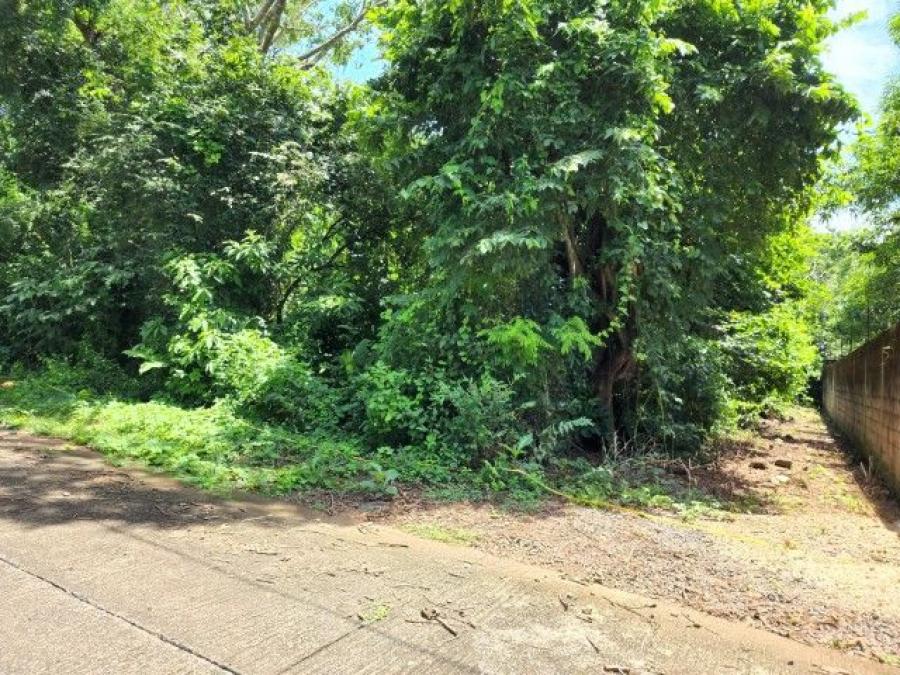 Foto Terreno en Venta en Masagua, Escuintla - Q 60.000 - TEV18876 - BienesOnLine