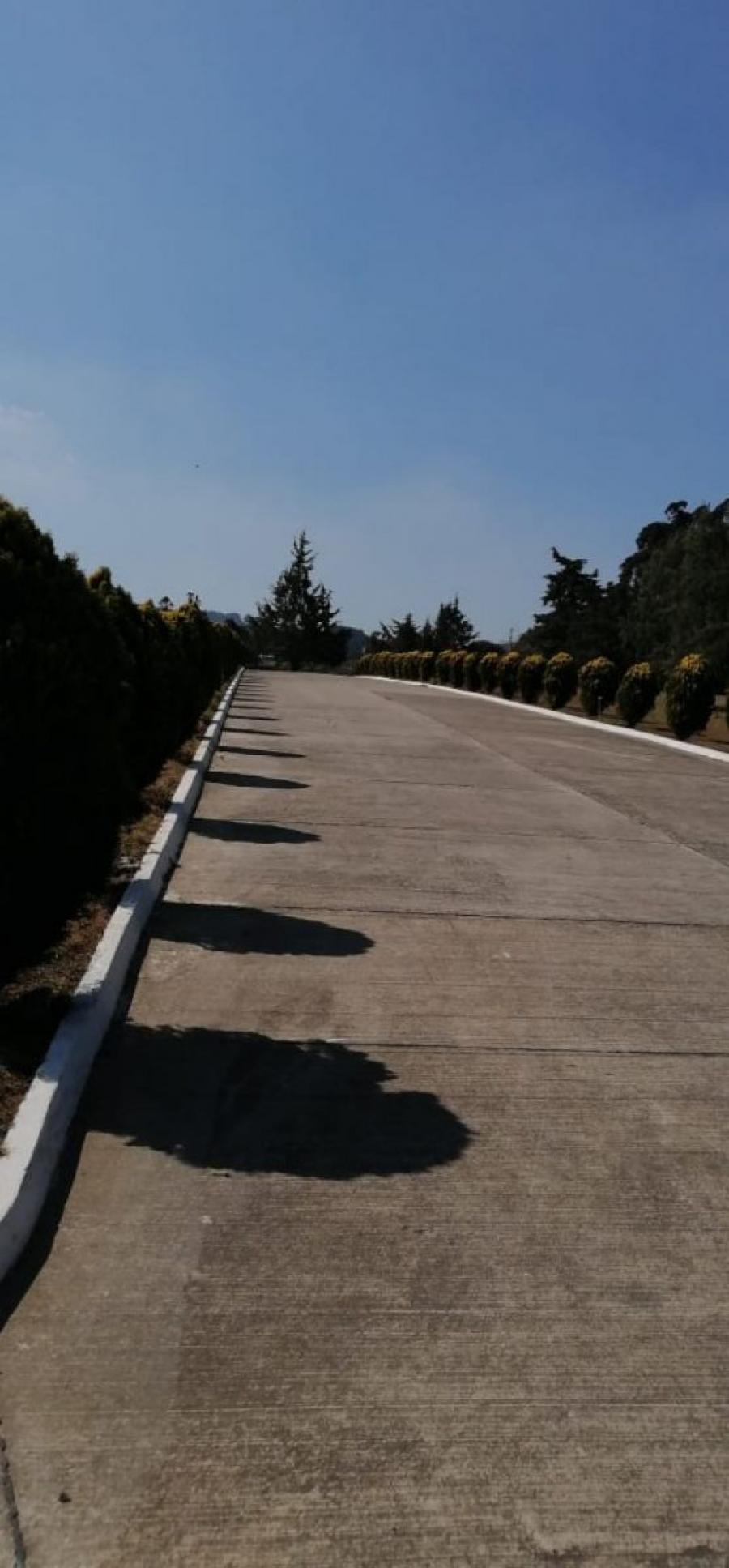 Home in Metric Way