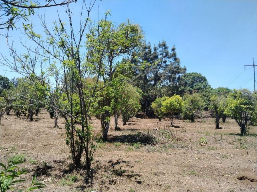 Foto Terreno en Venta en Chimaltenango, Chimaltenango, Chimaltenango - Q 5.245.457 - TEV48677 - BienesOnLine