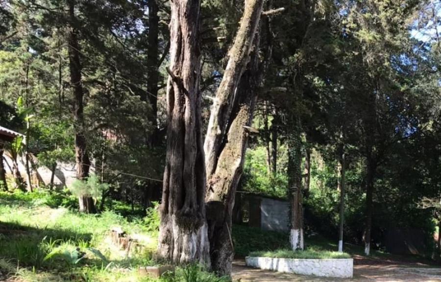 Foto Terreno en Venta en San Juan Sacatepéquez, Guatemala - Q 423.984 - TEV38241 - BienesOnLine