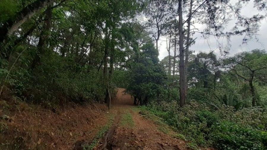 Foto Terreno en Venta en Santiago Sacatepéquez, Sacatepéquez - Q 250.000 - TEV38481 - BienesOnLine